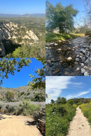 OC Parks Fall Programs & Events