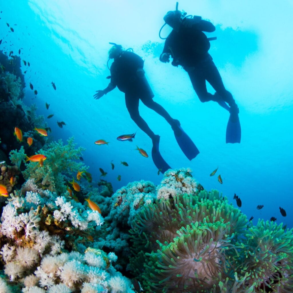 Scuba Diving and Snorkeling Spots