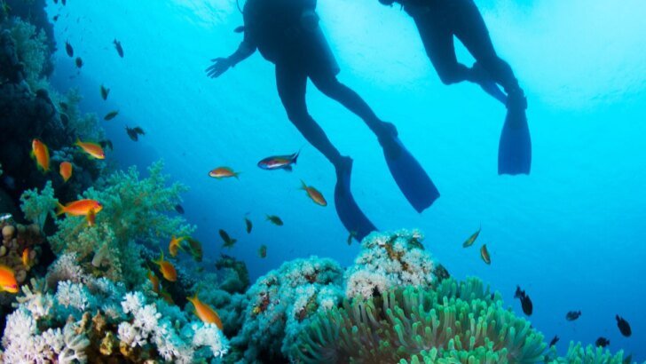 Scuba Diving and Snorkeling Spots
