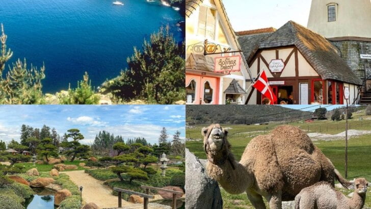 Hidden Gems In Southern California