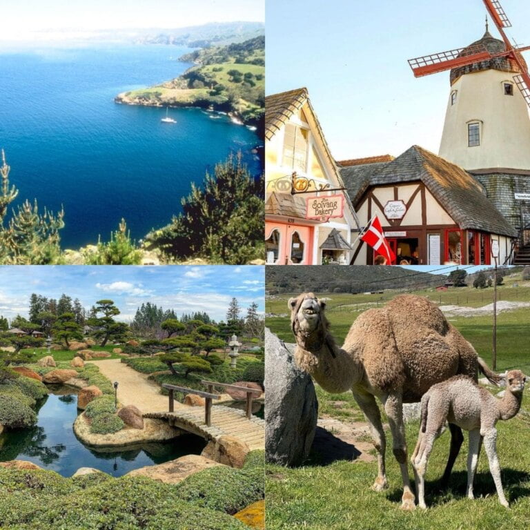 Hidden Gems In Southern California