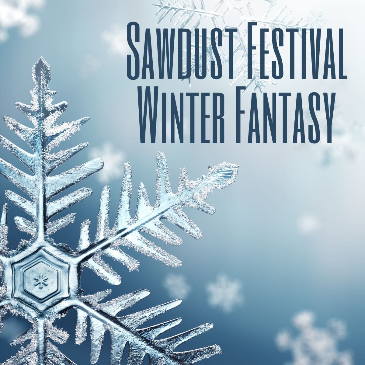 Sawdust Festival Winter Fantasy Enjoy OC