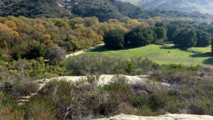 Aliso and Wood Canyons Regional Park