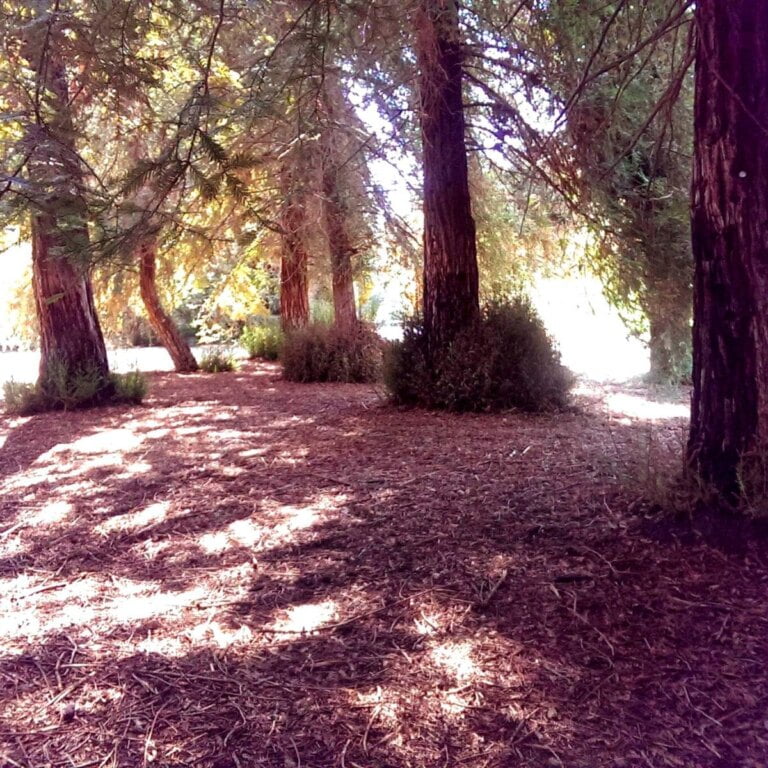 Carbon Canyon Regional Park