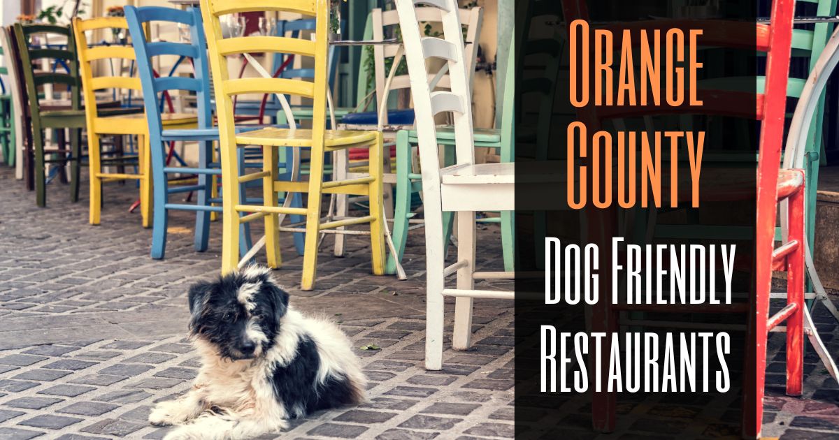 Pet-Friendly Hotels in Orange County, CA