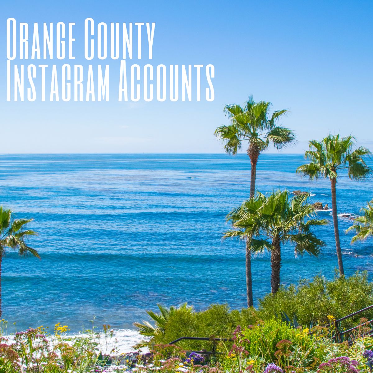 Orange County Instagram Accounts