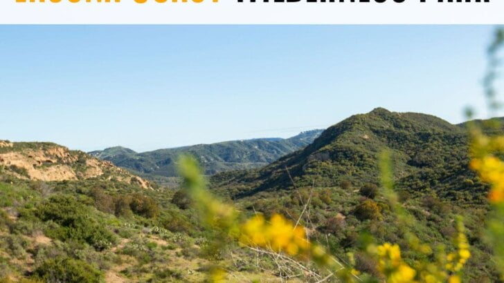 Laguna Coast Wilderness Park