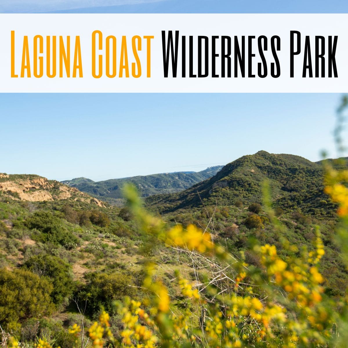Laguna Coast Wilderness Park