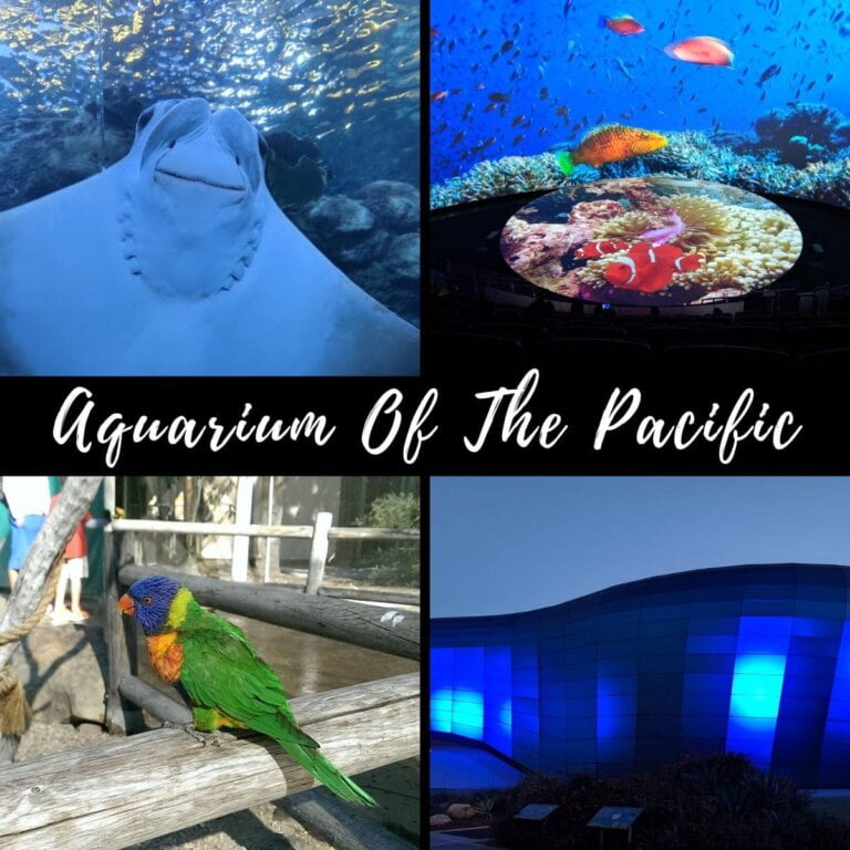 Aquarium Of The Pacific