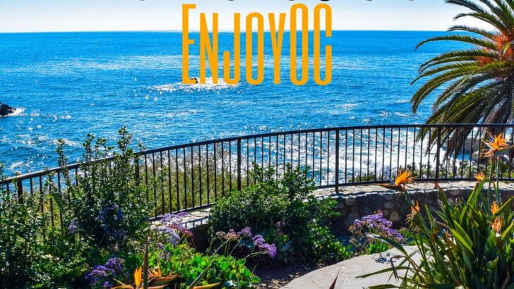 Best Picnic Spots In Orange County