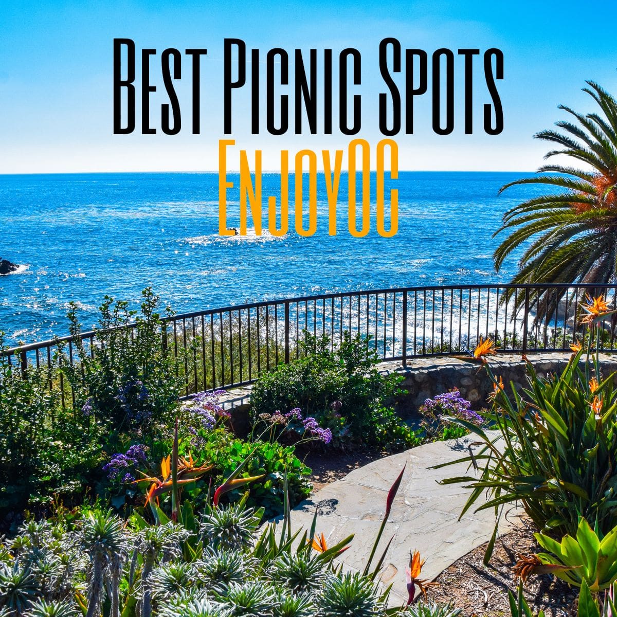 Best Picnic Spots In Orange County