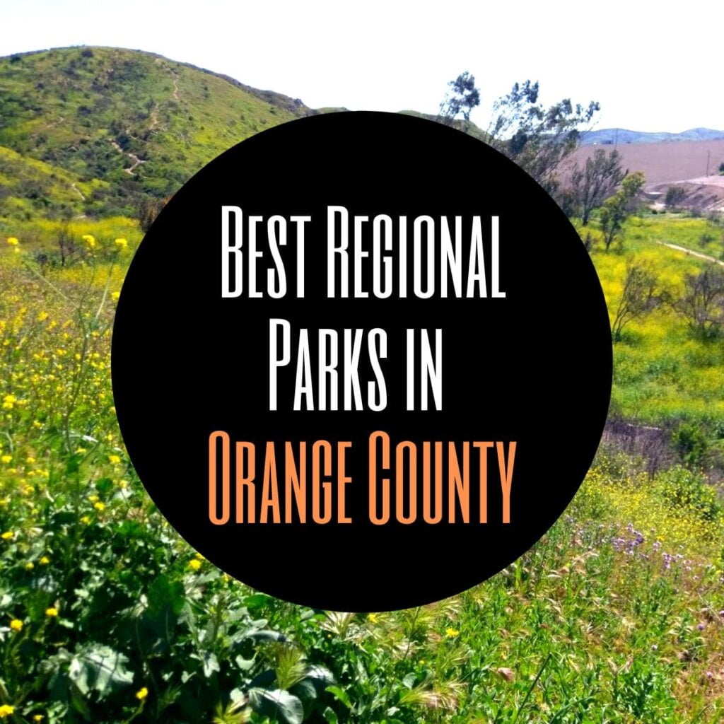 Best Regional Parks In Orange County