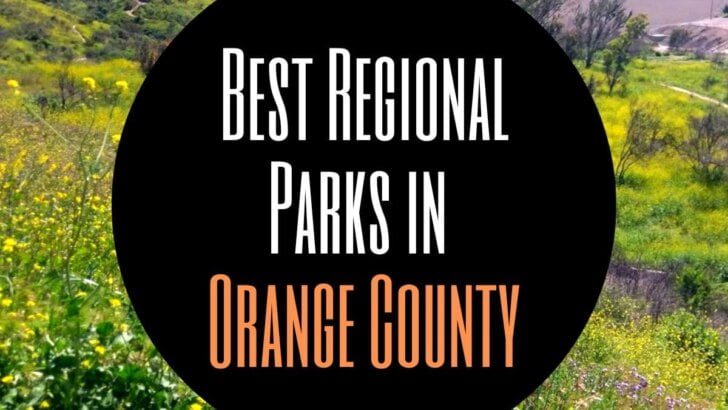 Best Regional Parks In Orange County