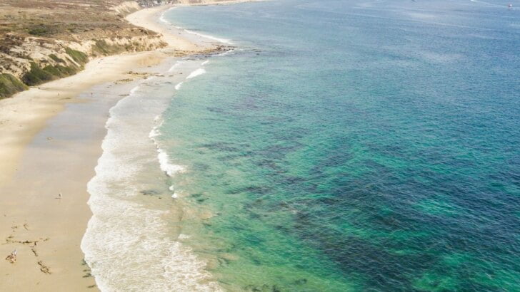 Spring Break In Orange County