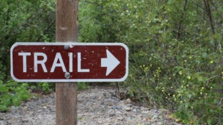 Best Hiking and Mountain Biking Trails In OC