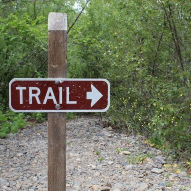 Best Hiking and Mountain Biking Trails In OC