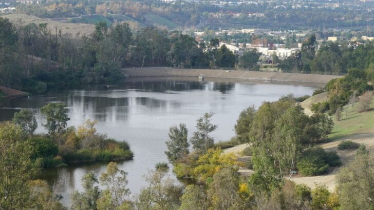 Laguna Niguel Regional Park