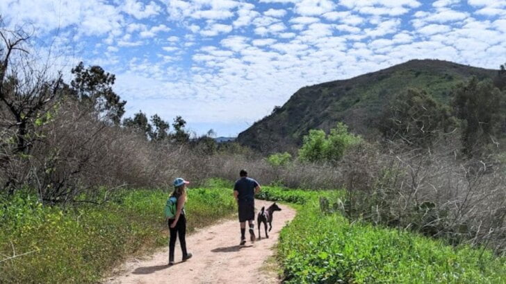 Places To Go For A Walk