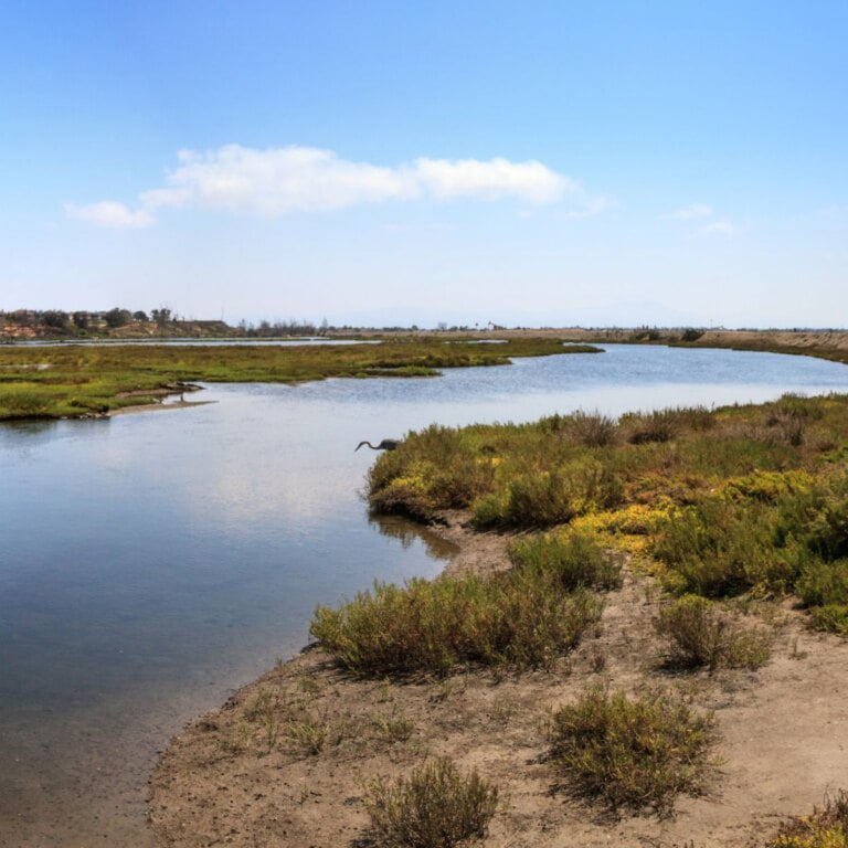Bolsa Chica Ecological Preserve
