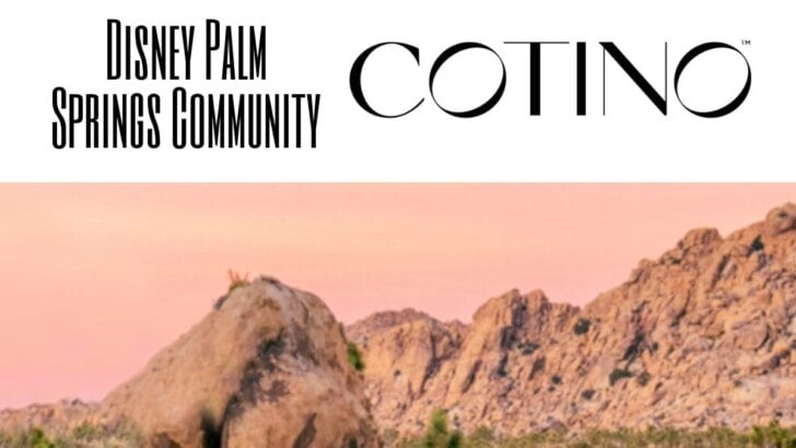 Disney Palm Springs Community: Cotino