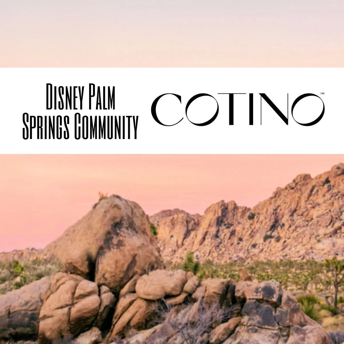Disney Palm Springs Community: Cotino