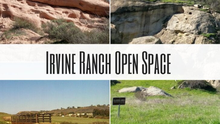 Irvine Ranch Open Space Preserve