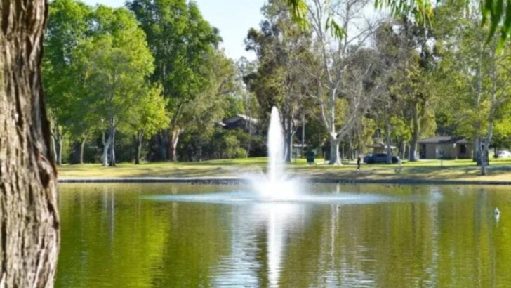 Mason Regional Park Irvine