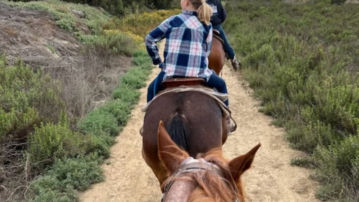 Horseback Riding Trails In Orange County