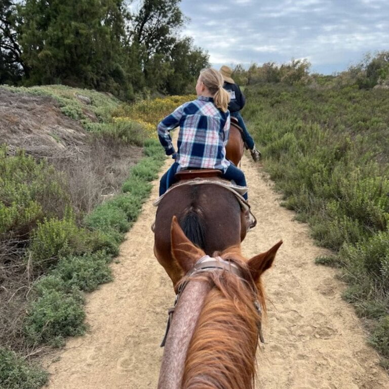 Horseback Riding Trails In Orange County
