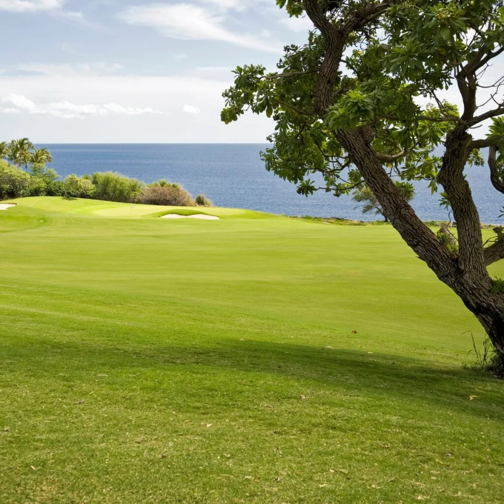 Must Play Golf Courses In OC