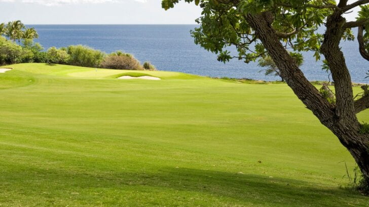Must Play Golf Courses In OC
