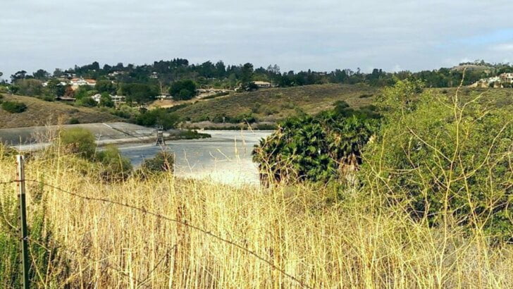 Peters Canyon Regional Park