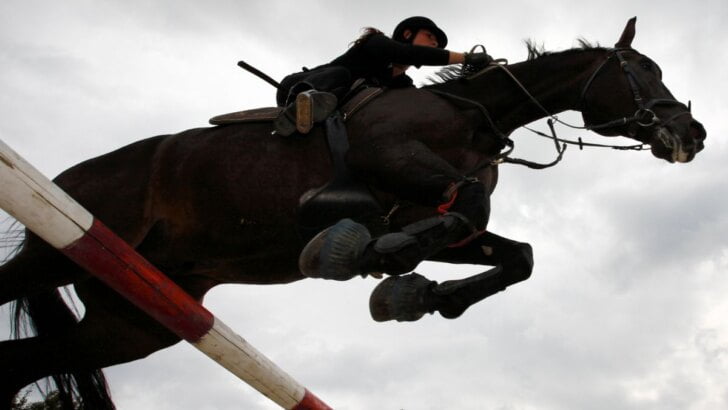 Rancho Mission Viejo Riding Park