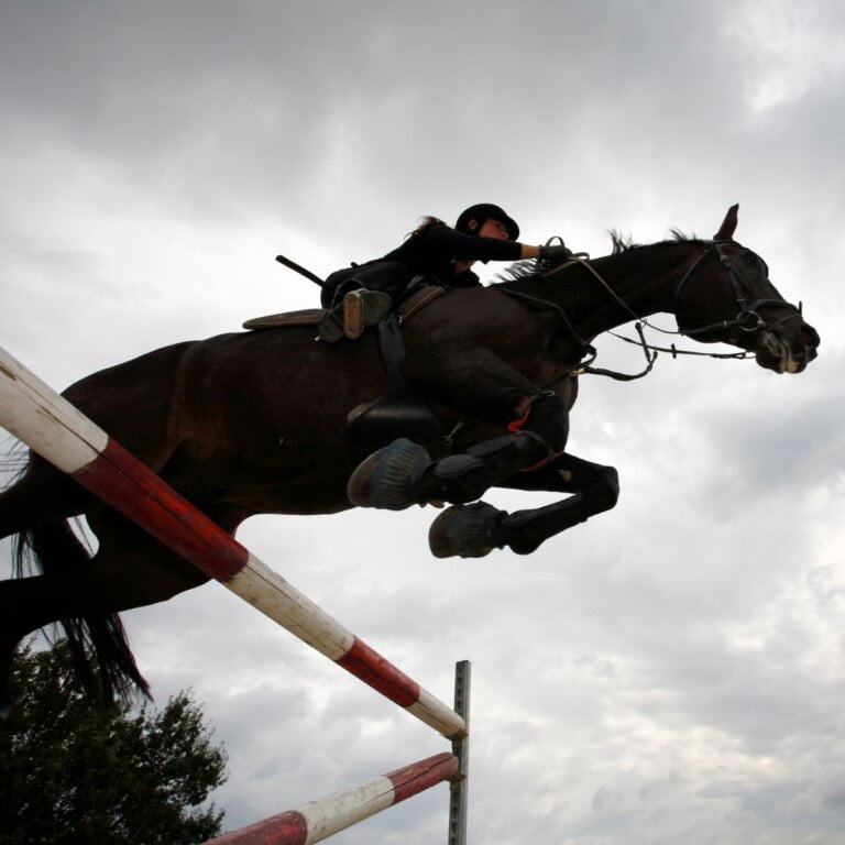 Rancho Mission Viejo Riding Park