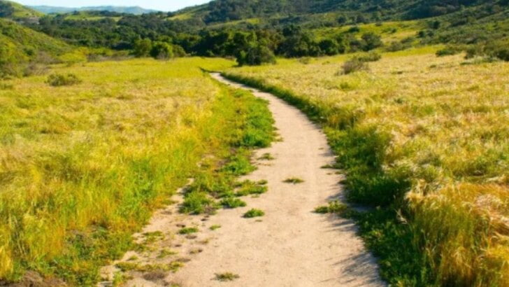 Riley Wilderness Park