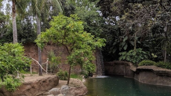 Santa Ana Zoo