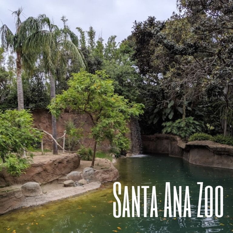 Santa Ana Zoo