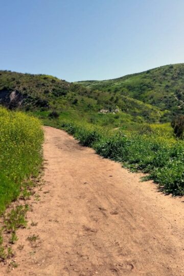 Santiago Oaks Regional Park