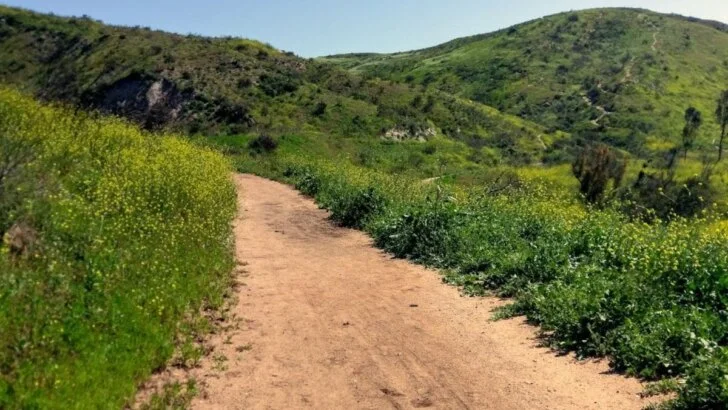 Santiago Oaks Regional Park