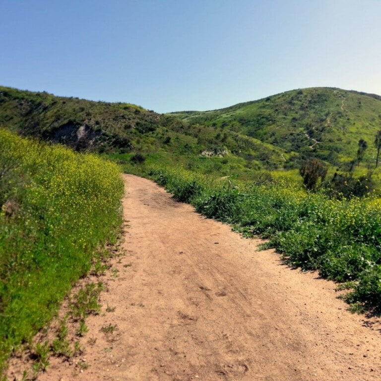 Santiago Oaks Regional Park