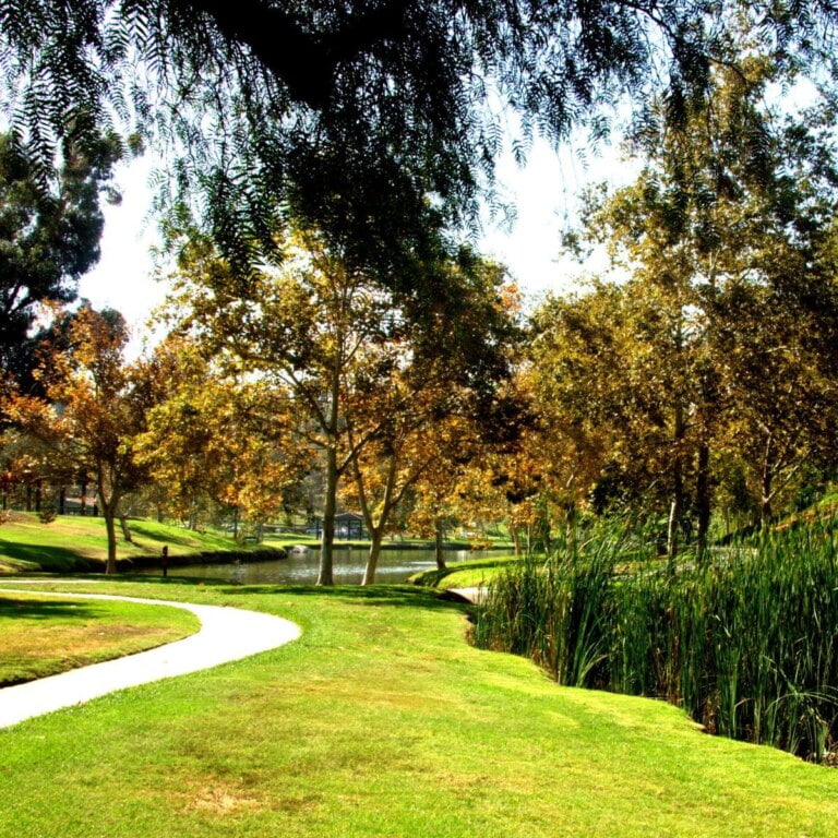 Ted Craig Regional Park