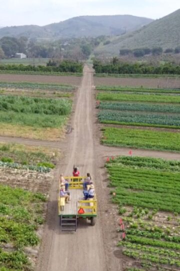 Underwood Family Farms