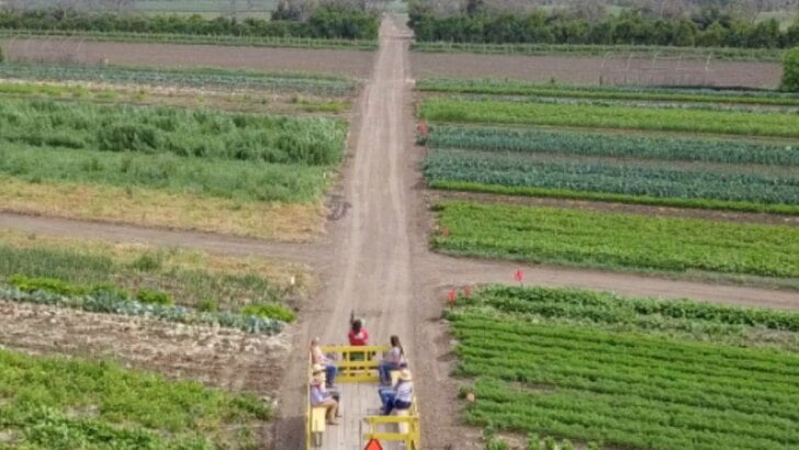 Underwood Family Farms