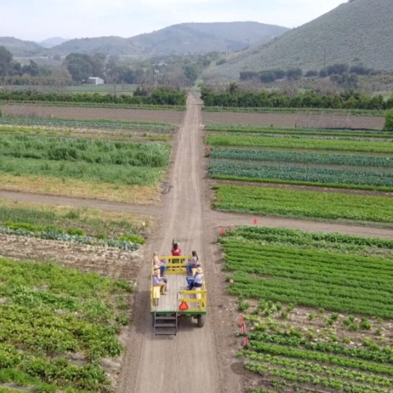 Underwood Family Farms
