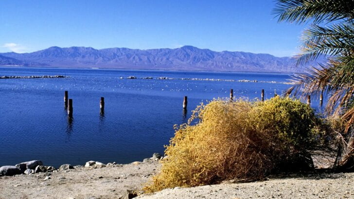 The Salton Sea