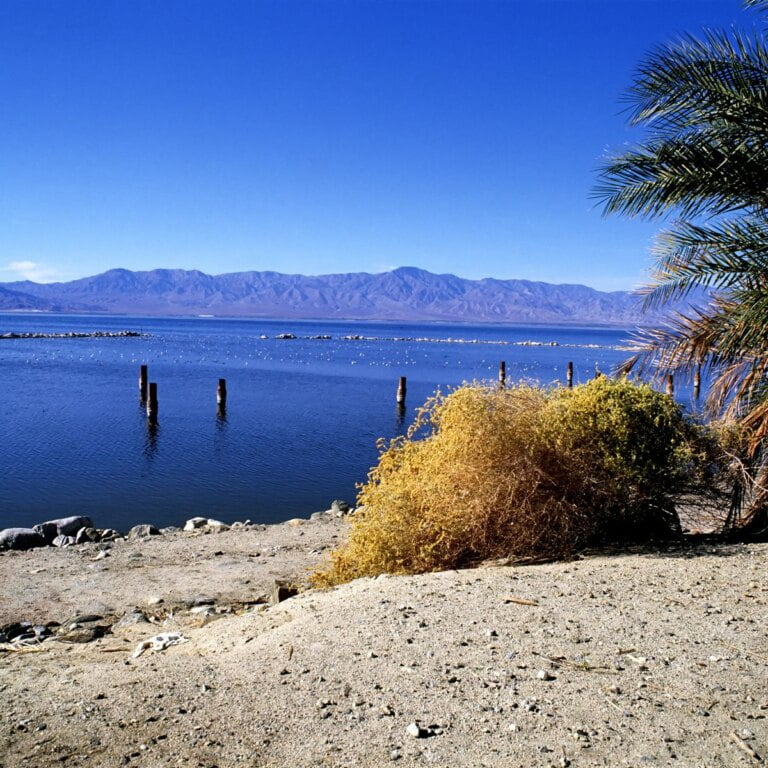 The Salton Sea