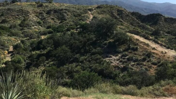 Orange County Wilderness Preserves