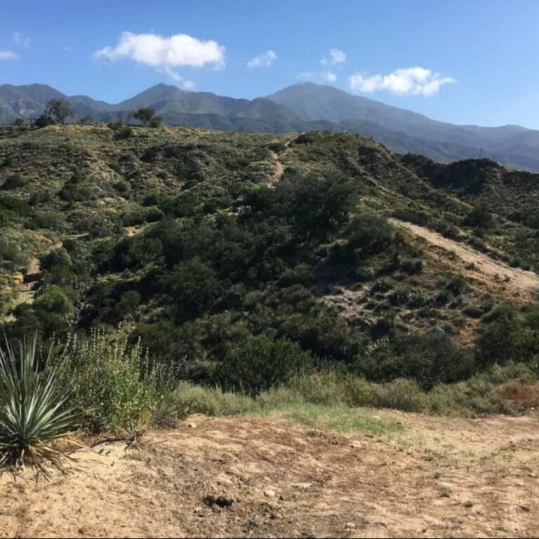 Orange County Wilderness Preserves