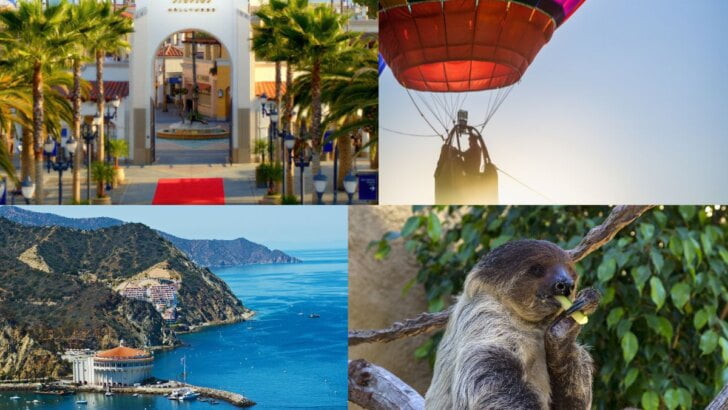 Amazing Day Trips 90 Minutes Or Less From Orange County