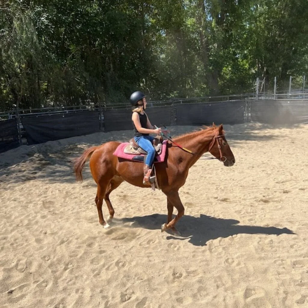 Horseback Riding In Orange County